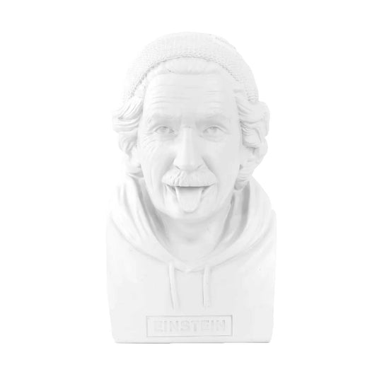 Donkey Einstein ceramic money box